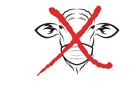 Freelance Software Developer South Africa